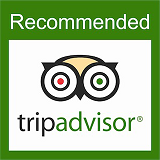 Merry Rover Holidayz on TripAdvisor